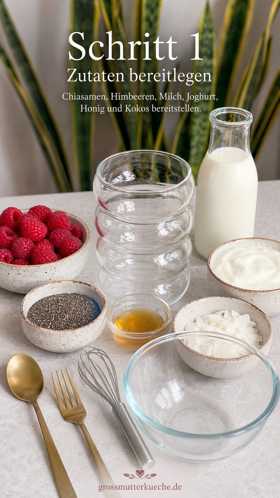 Zutaten für Himbeer Chia Pudding mit Kokosflocken übersichtlich auf der Arbeitsplatte bereitgestellt