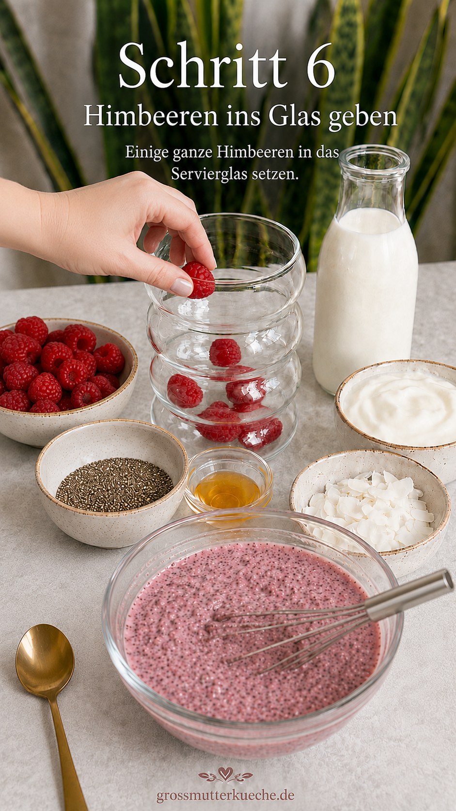Ganze frische Himbeeren werden als erste Schicht in das Serviergläser für den Pudding gegeben