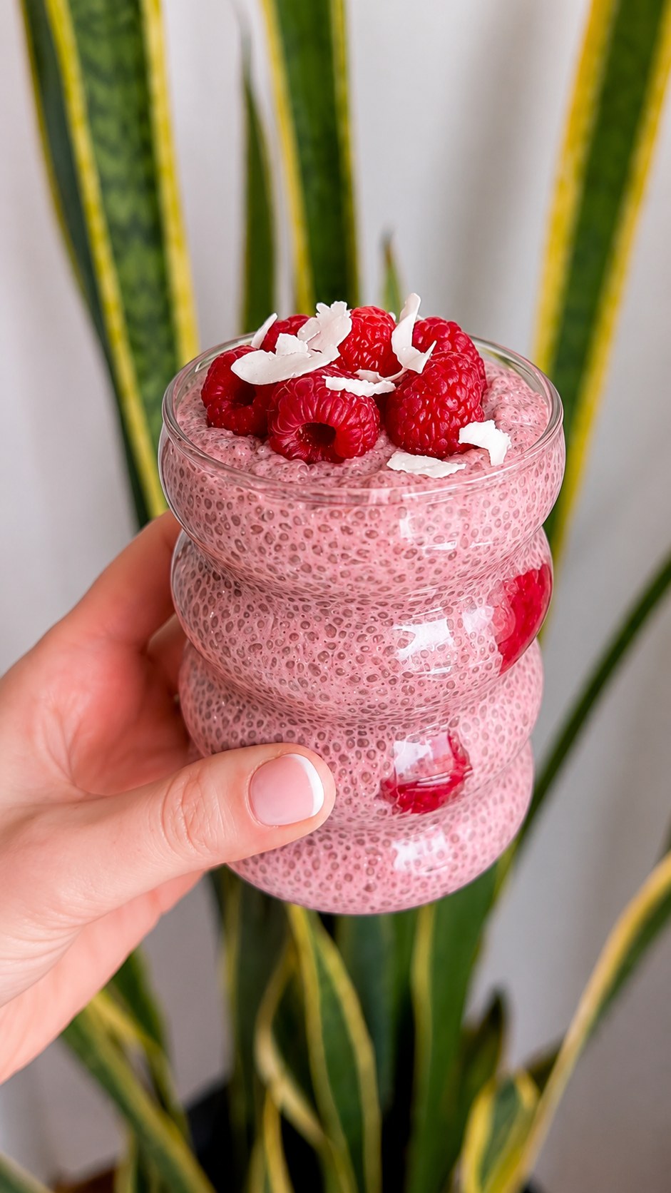 Himbeer - Chia - Pudding Mit Kokosflocken - Ein Frühstück,