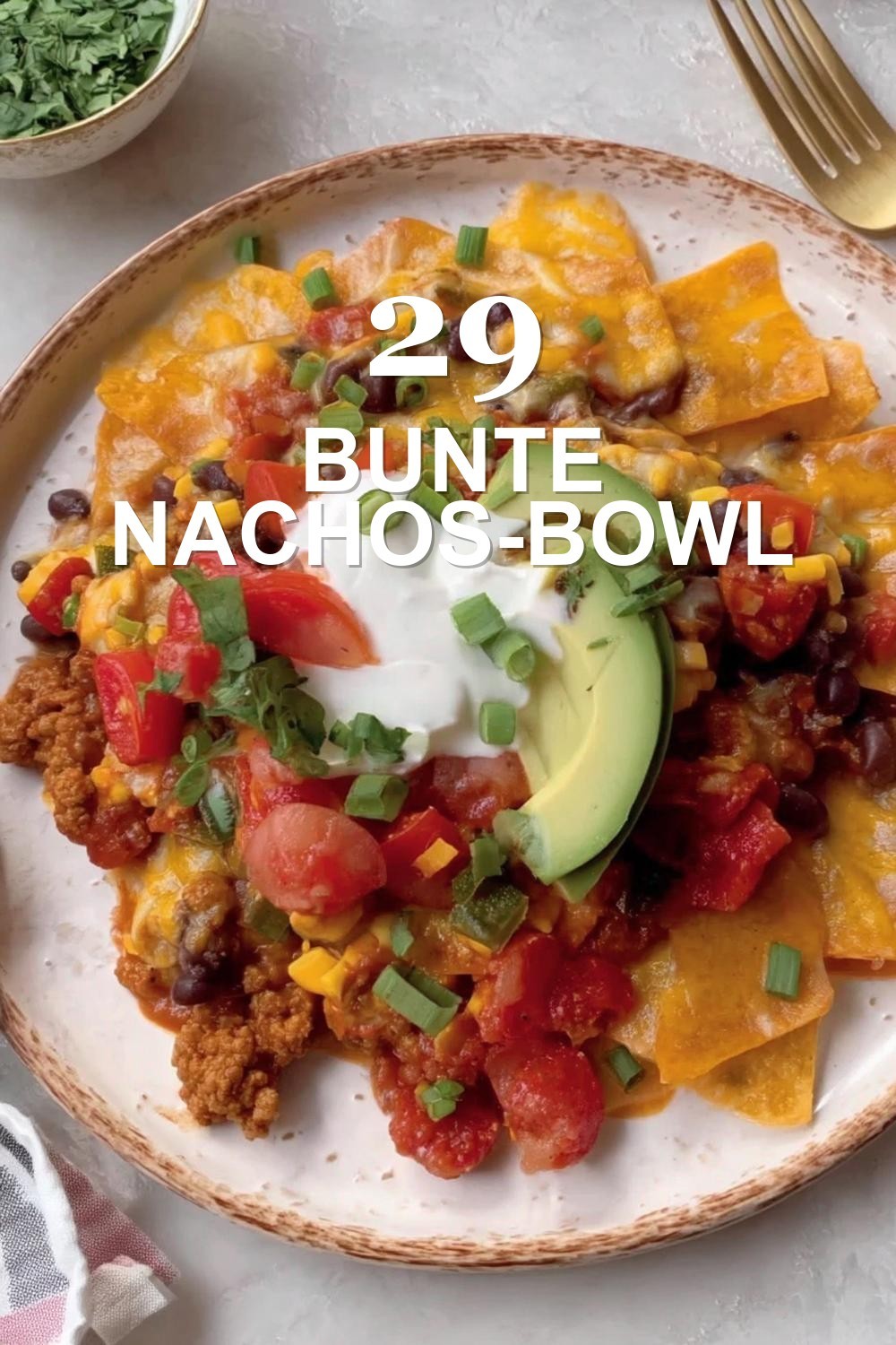 Bunte Nachos-Bowl